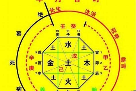 龍德 八字|八字神煞 龙德 (八字里龙德星是什么意思)